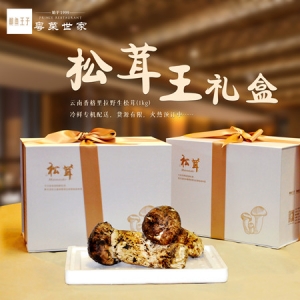 松茸王礼盒